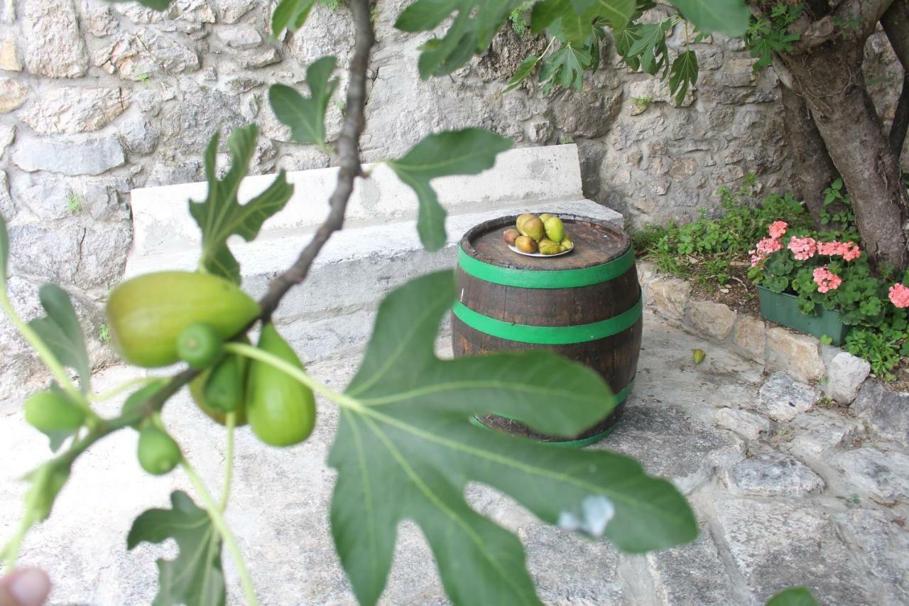 Villa Bartola Grižane Dış mekan fotoğraf
